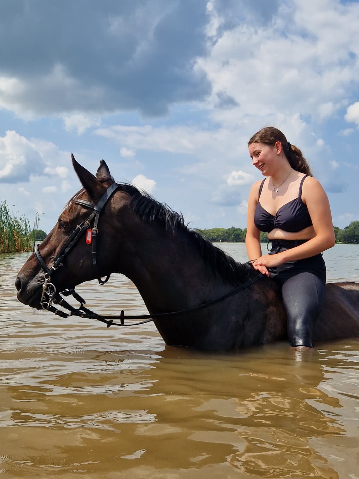 Joyce, a Bambelela horse