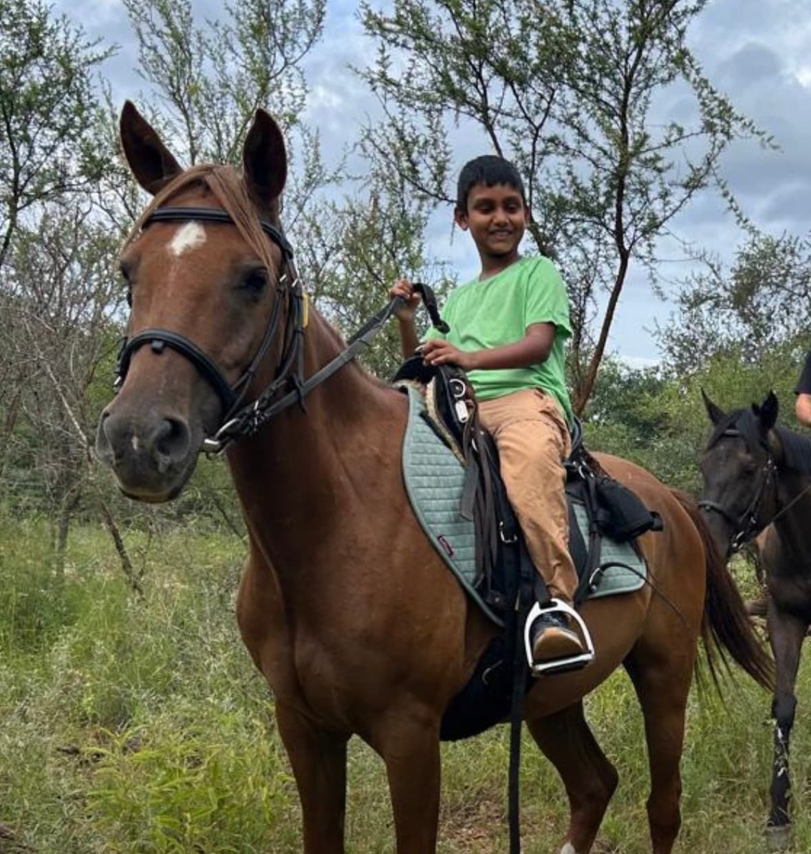 Zuki, a Bambelela horse