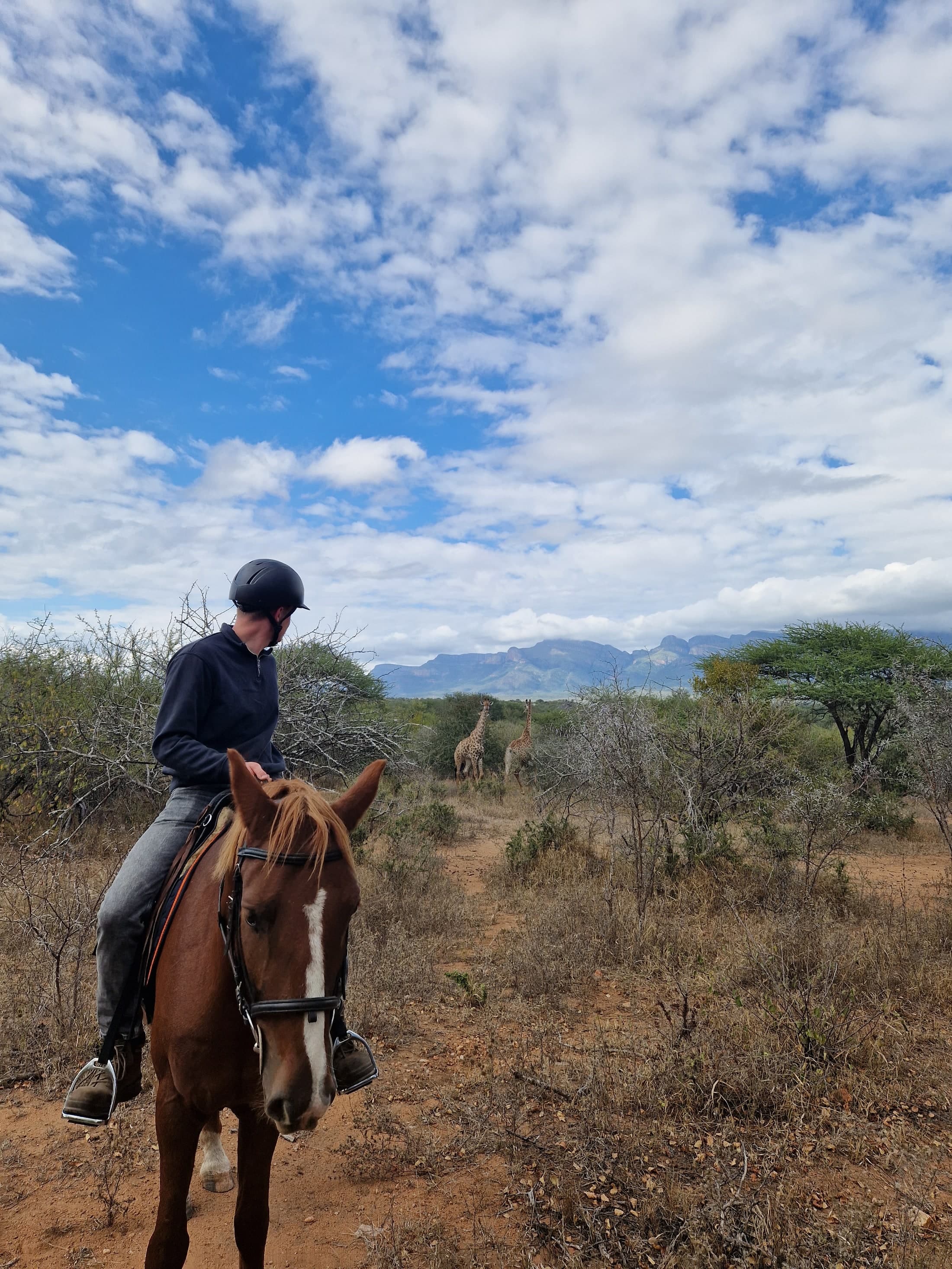 Bush Trail